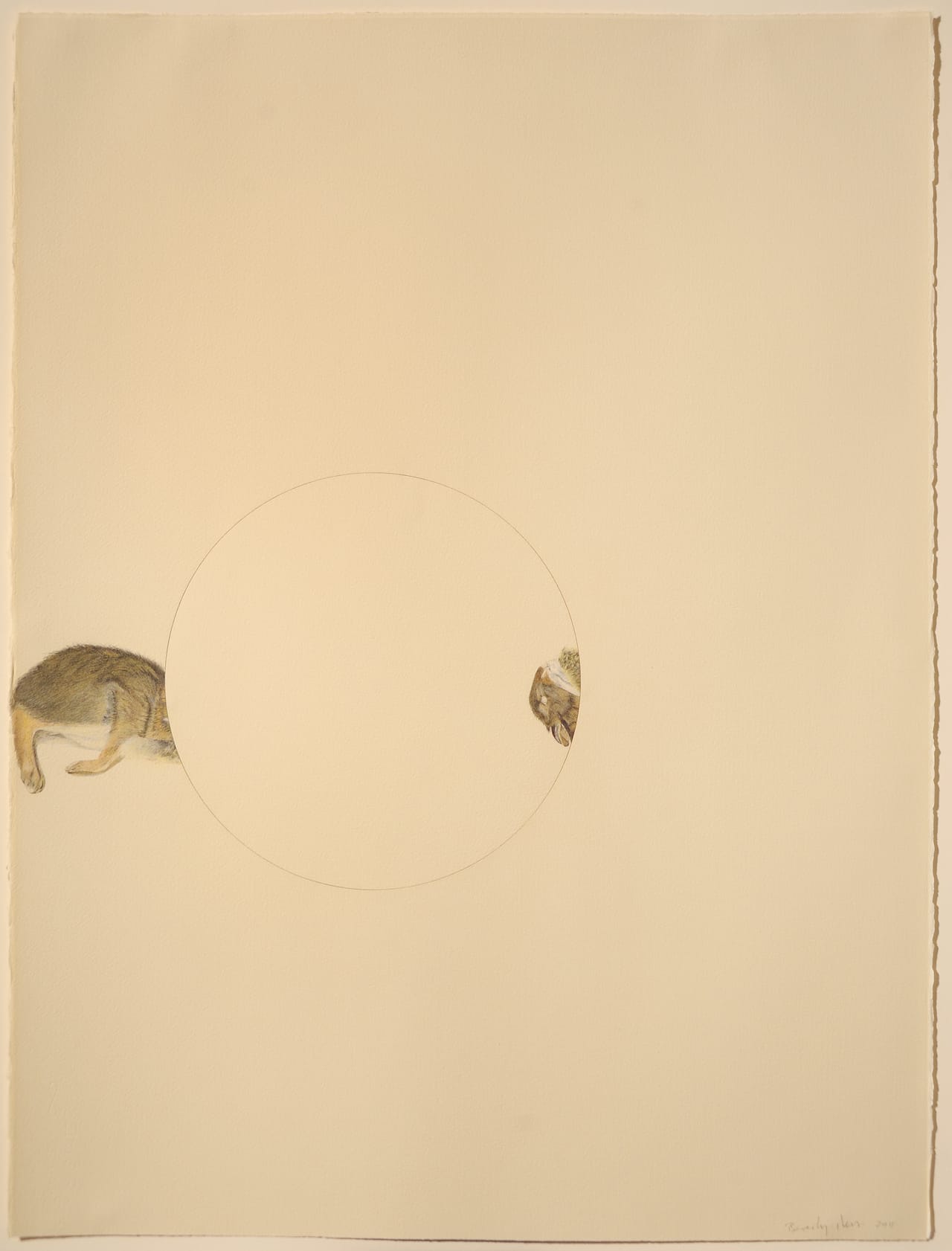 Beverly Ress, "Rabbit Circle" (2011) colored pencil on paper, laser cut, twisted, reattached (photo by Greg Staley)