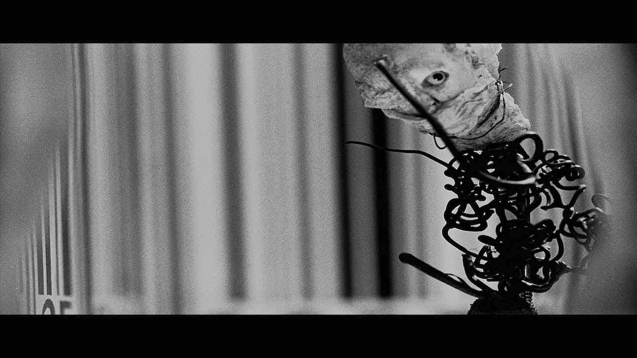 Stephen and Timothy Quay, still from "Rehearsals for Extinct Anatomies" (1987)