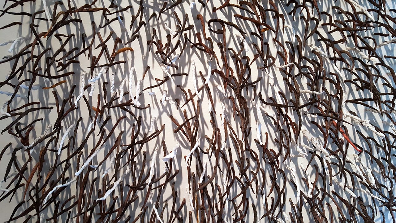 Sonya Clark, "Pluck & Grow" (detail) (click to enlarge)