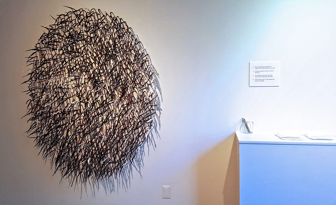 Sonya Clark, "Pluck & Grow," installation view at Institute for the Humanities (click to enlarge)