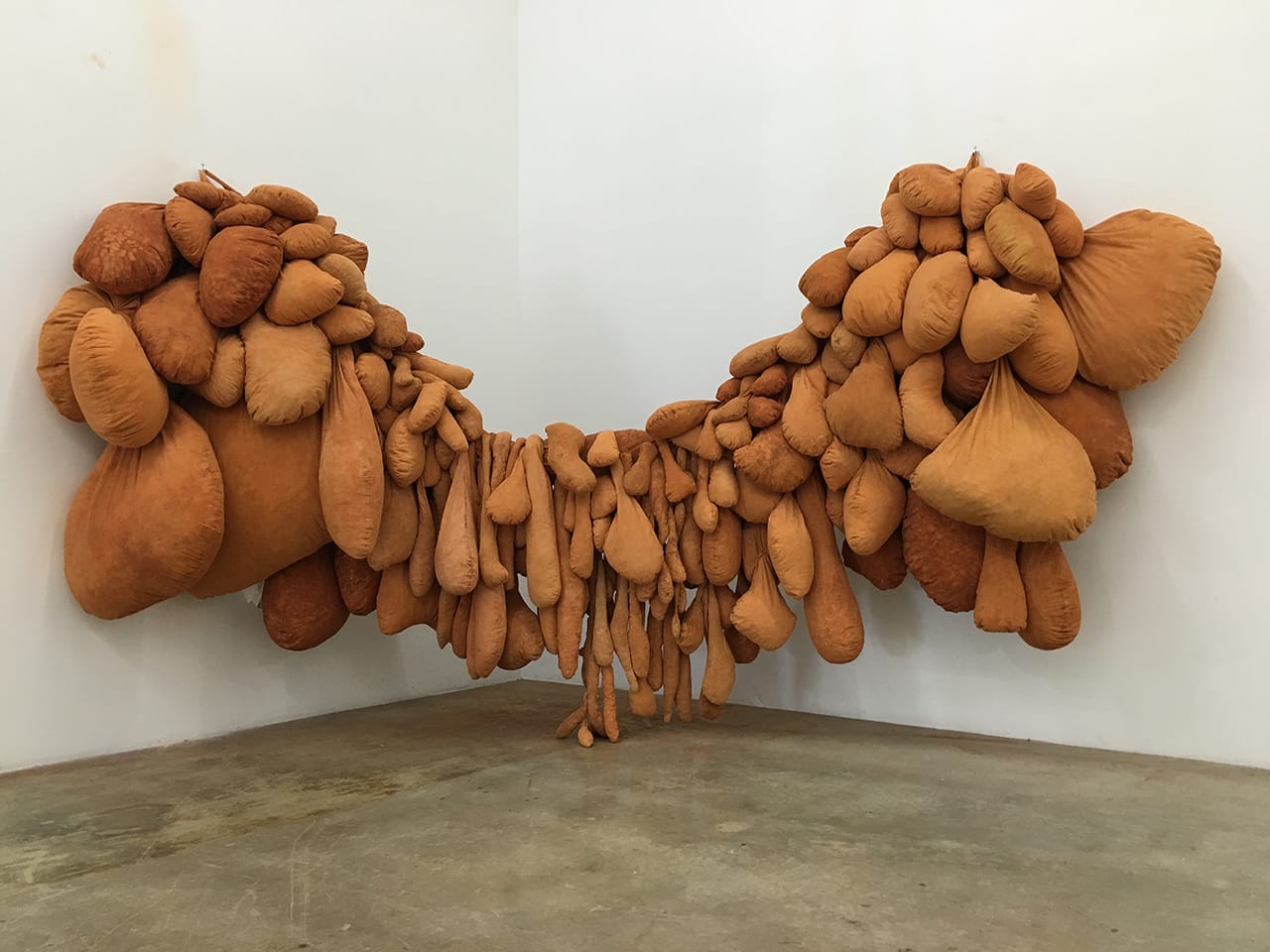 Solange Pessoa "Untitled" 2011-2012