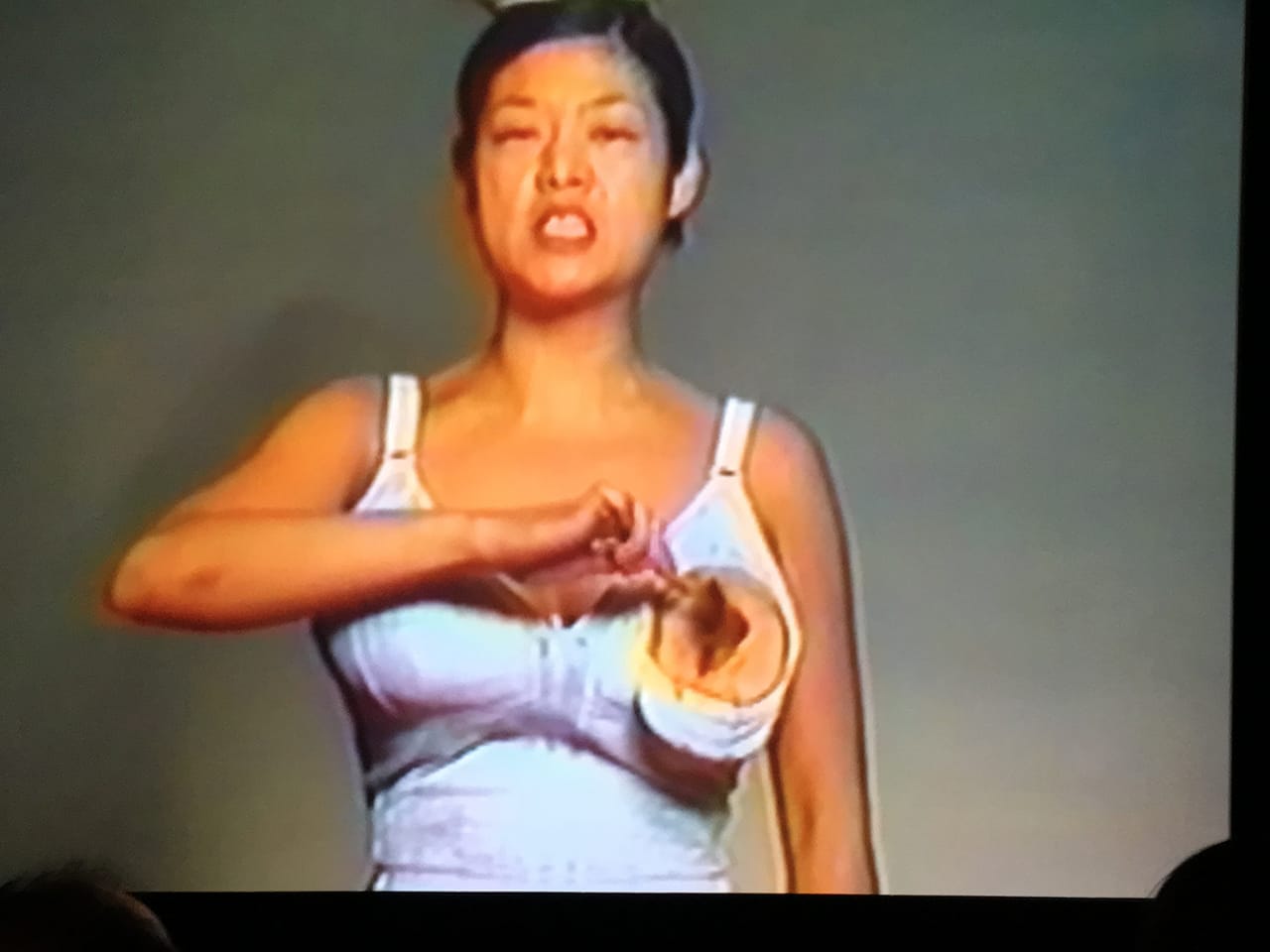 Patty Chang "Mellons (At a Loss)" 1999