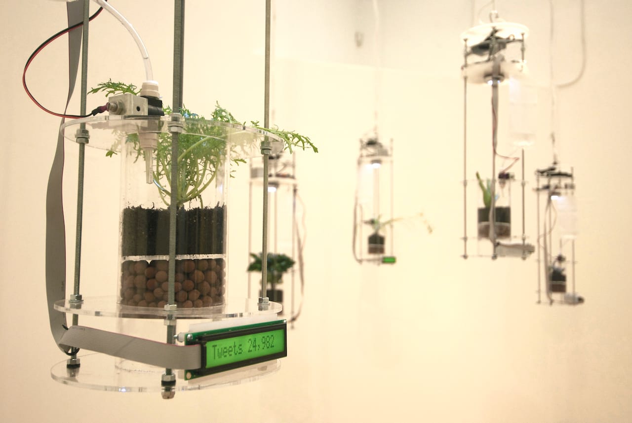 Stephanie_Rothenberg_Planthropy_1