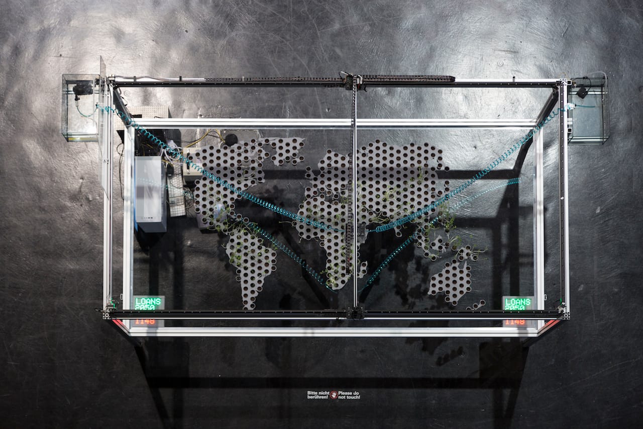 Stephanie_Rothenberg_ZKM_Garden_Virtual_Kinship_1