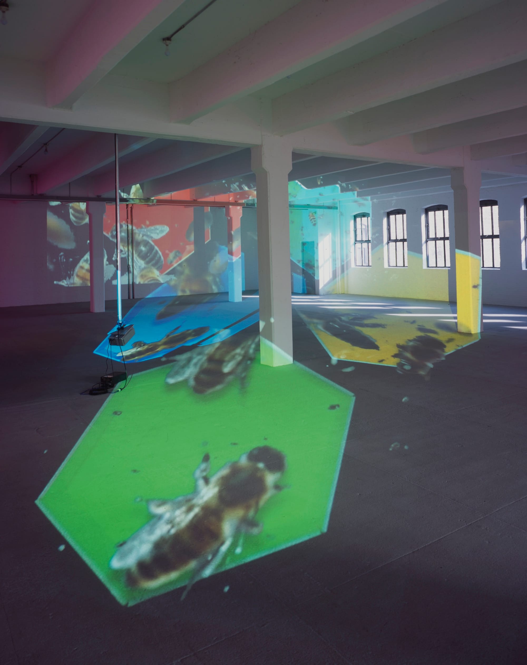 Diana Thater, "knots + surfaces" (2001), installation view at Dia Center for the Arts, New York (photo courtesy of Diana Thater and Fredrik Nilsen)