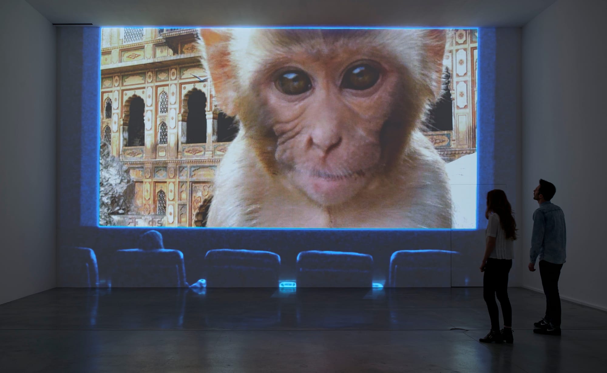 Diana Thater, "Life is a Time-Based Medium" (2015), installation view at Hauser & Wirth, London (photo courtesy of Alex Delfanne and Hauser & Wirth)