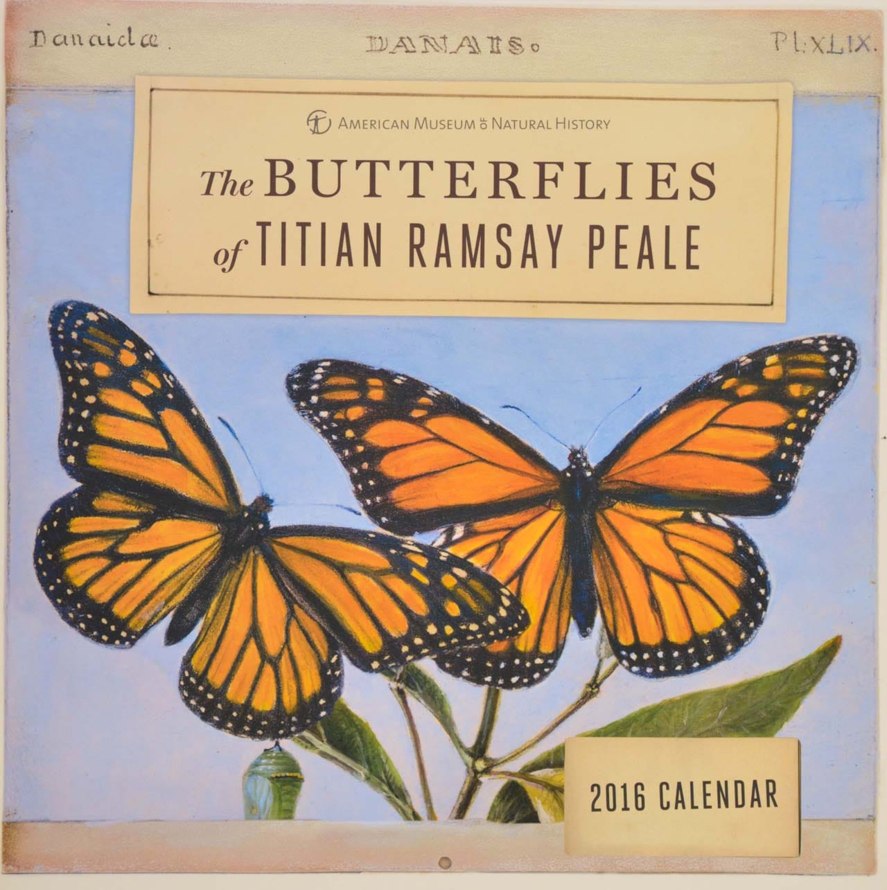 Butterflies of Titian Ramsay Peale 2016 Wall Calendar (via AMNH)