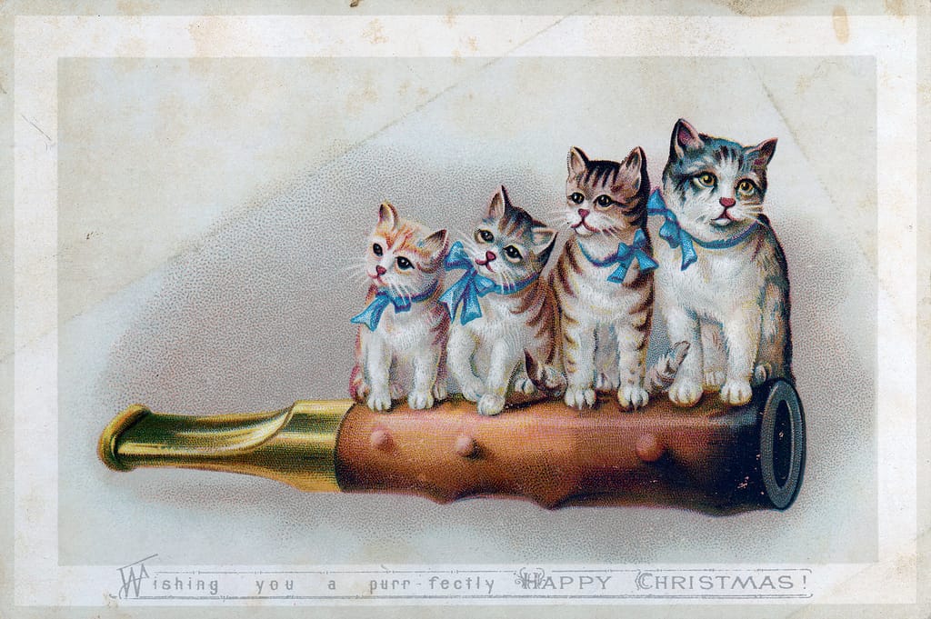 "Wishing you a purr-fectly happy Christmas" (via Nova Scotia Archives/Flickr)