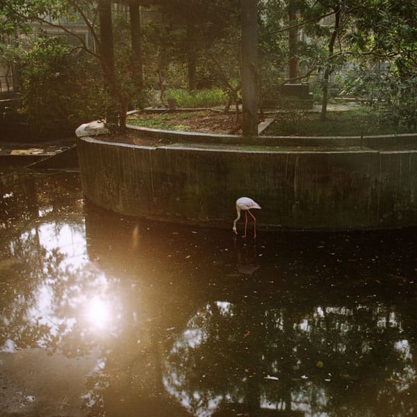 Tapash Paul, from a pause to breathe…, 2015