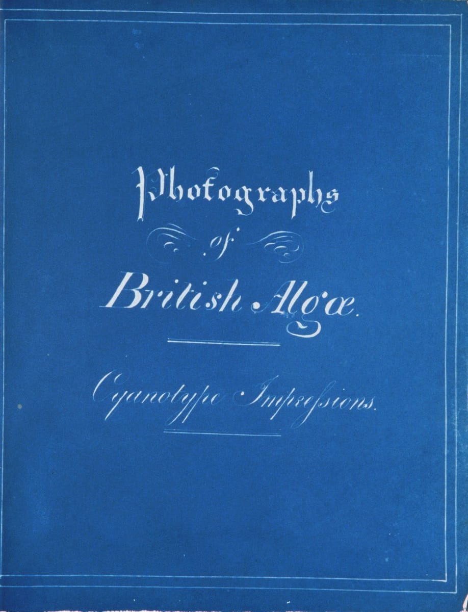 Page from 'Photographs of British Algae' (1843) by Anna Atkins