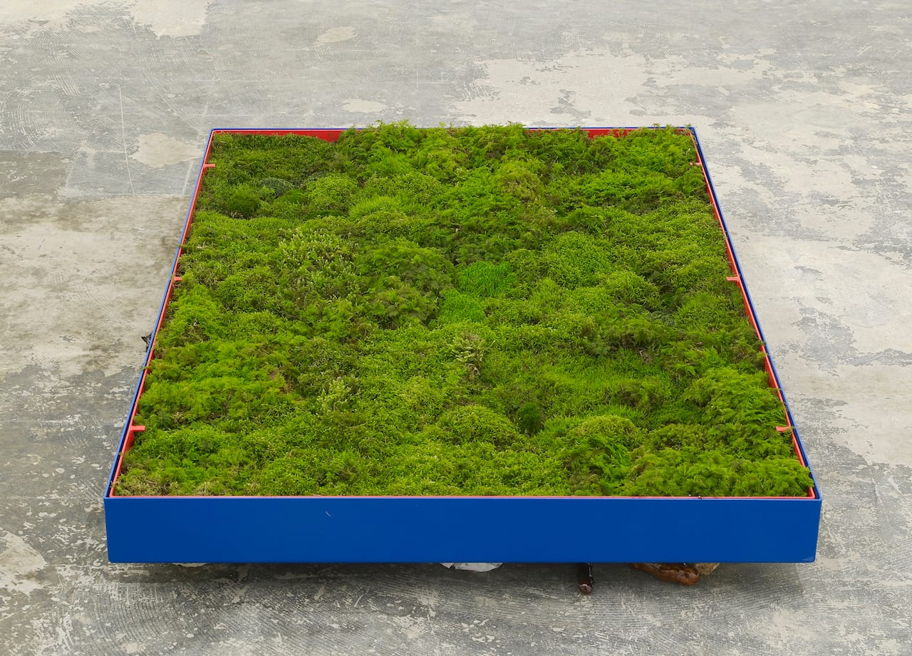 buttner_moss_garden_PP