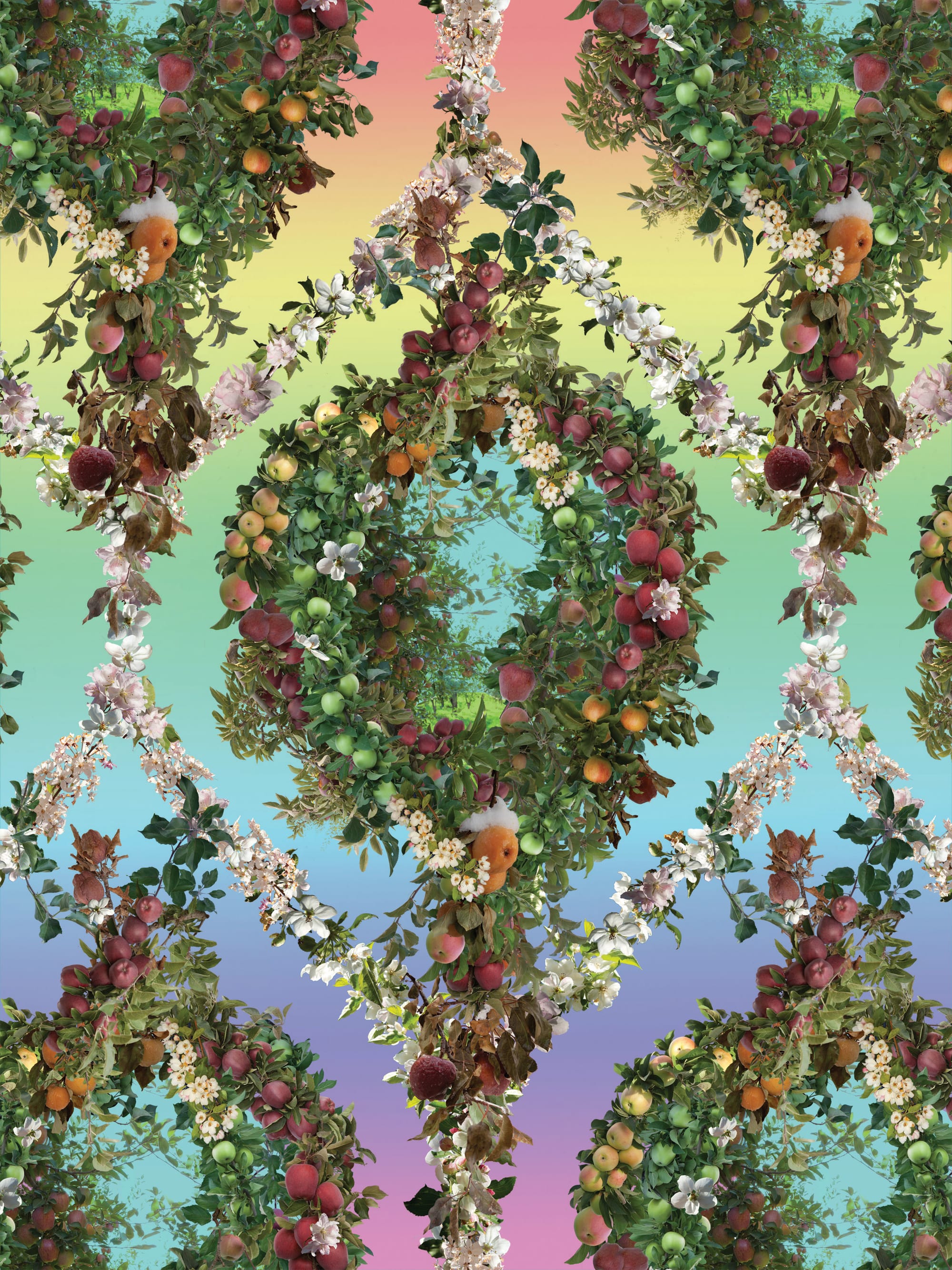 caldera layers RAINBOW small web