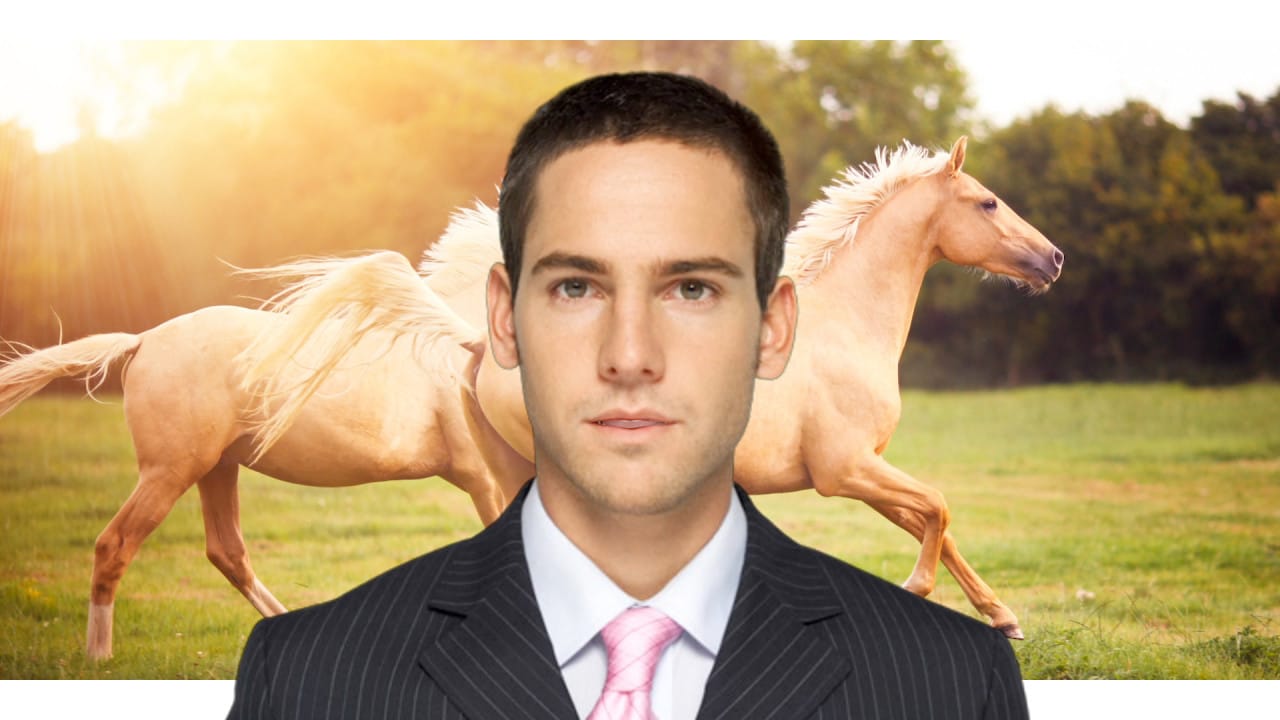 Screenshot from Eva and Franco Mattes, “Dark Content,” episode 1, (2015).