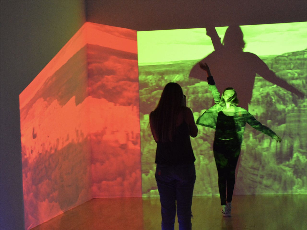 Inside the Diana Thater exhibition at LACMA (photo courtesy Katherine Martinez's Flickrstream and used with permission)