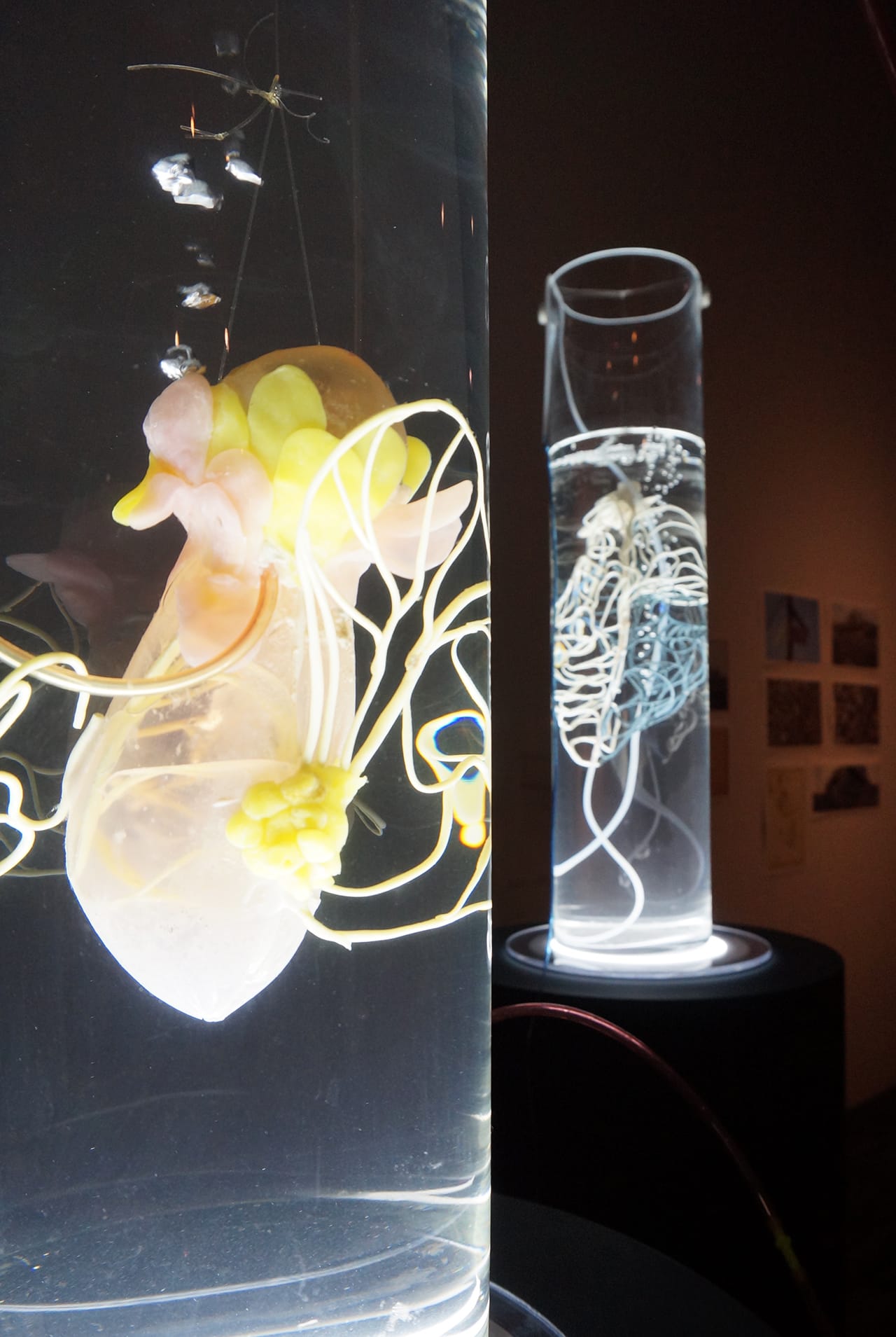 Pinar Yoldas, "An Ecosystem of Excess" (2015), mixed media installation, dims var (click to enlarge)