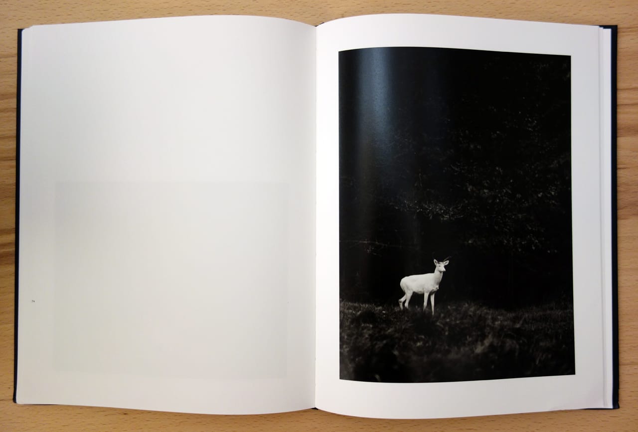 Pages of 'George Shiras: In the Heart of the Dark Night' (photo of the book for Hyperallergic)