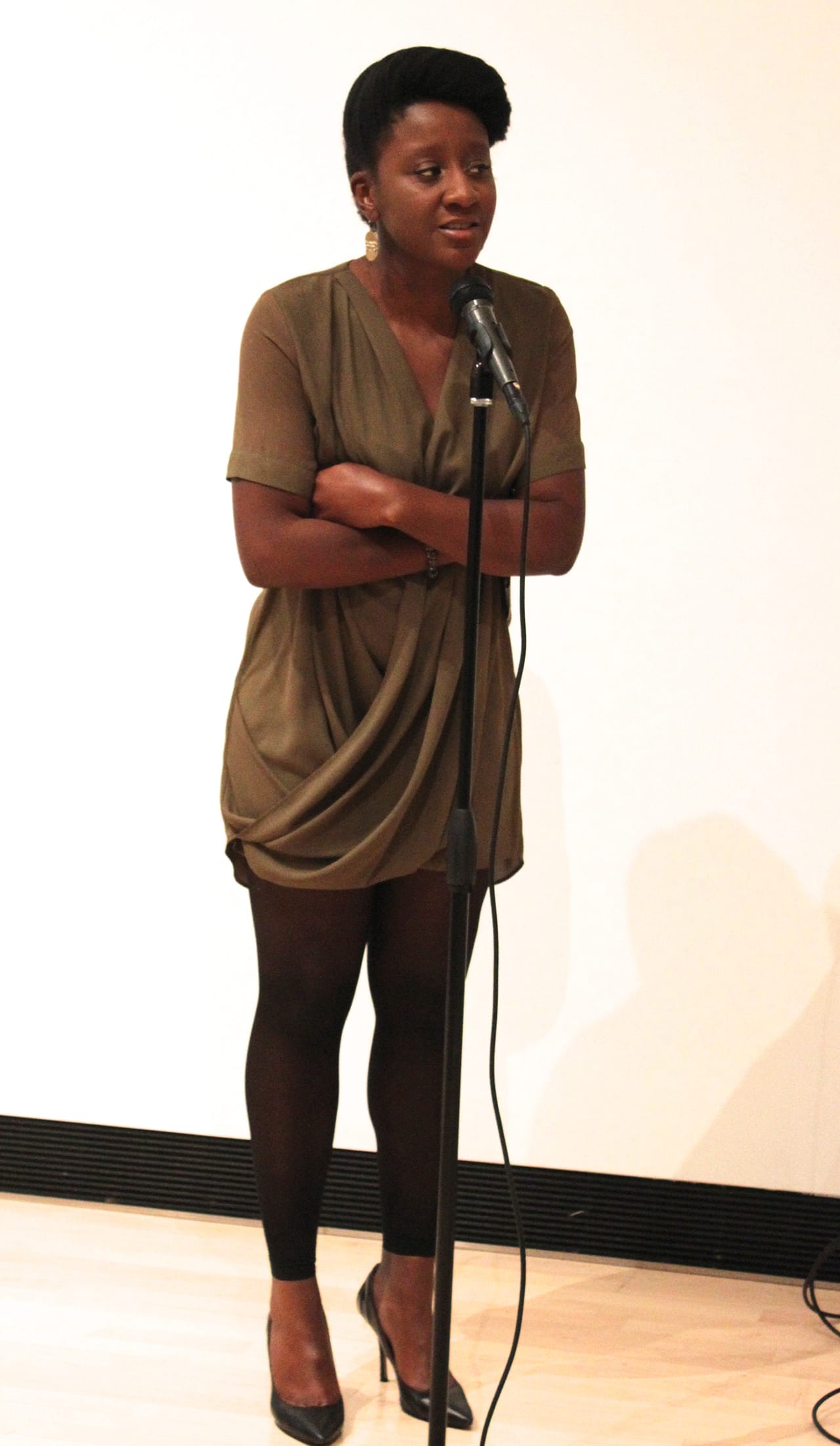Curator Yesomi Umolu addresses the member preview crowd (click to enlarge)