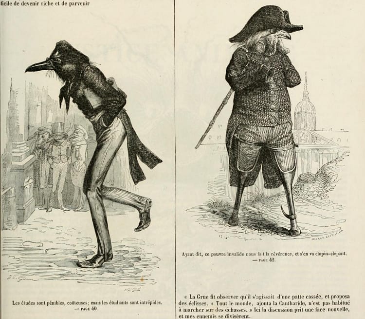 Illustration by J.J. Grandville in 'Scènes de la vie privée et publique des animaux' (originally published in 1842) (via University of Ottawa/Internet Archive)