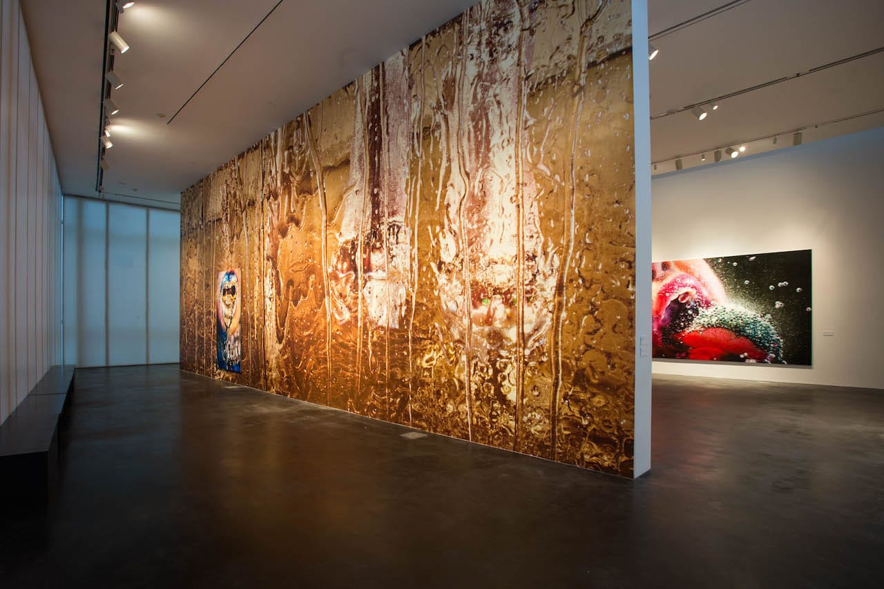 Installation view of 'Marilyn Minter: Pretty/Dirty' at the Museum of Contemporary Art Denver (photo by Kelly Shroads, courtesy the Museum of Contemporary Art Denver)