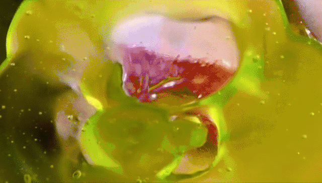Excerpt from Marilyn Minter, "Green Pink Caviar" (2009) (gif by Hyperallergic, via YouTube)