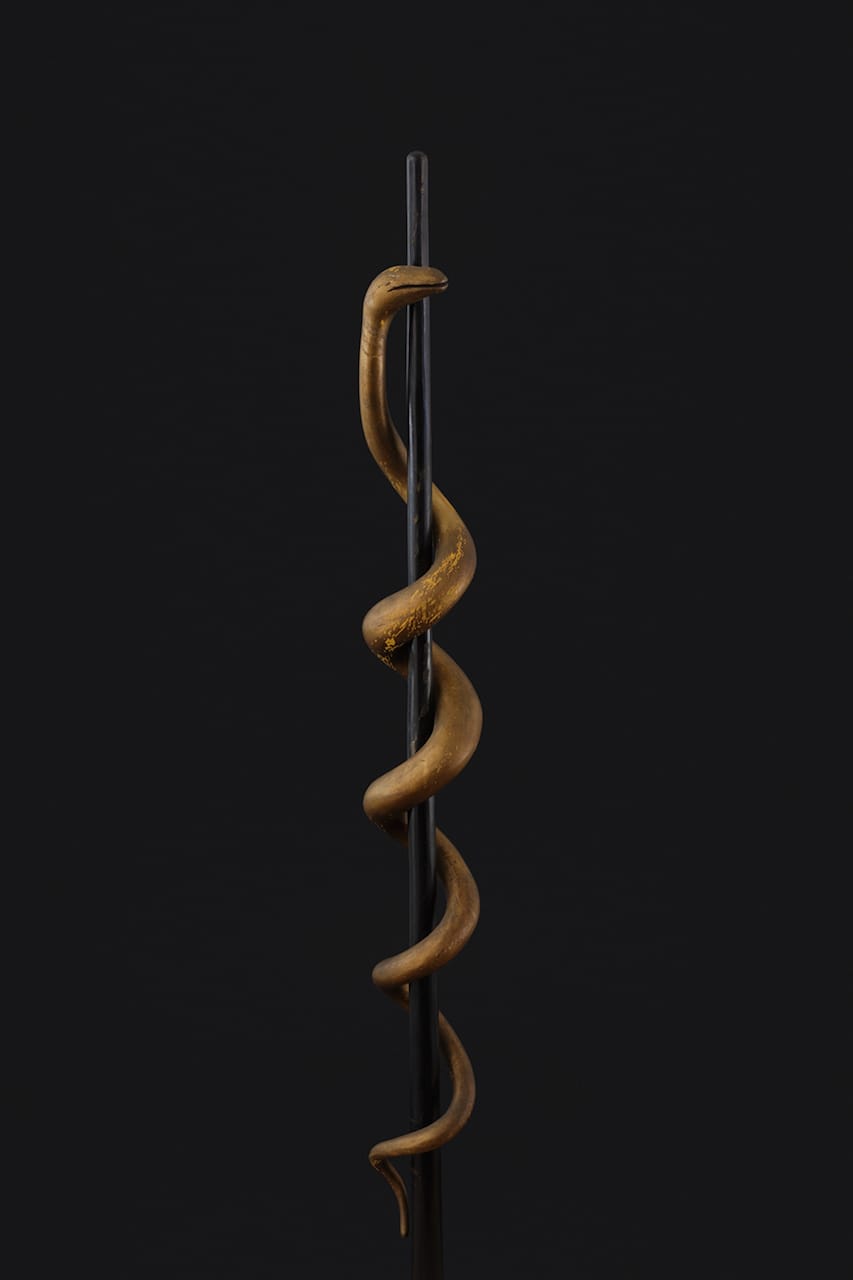 Independent Order of Odd Fellows Staff with Serpent, Artist unidentified (United States, 1875–1900), paint on wood, 53 x 5 x 4 3/4 inches (courtesy American Folk Art Museum, photo by José Andrés Ramírez)