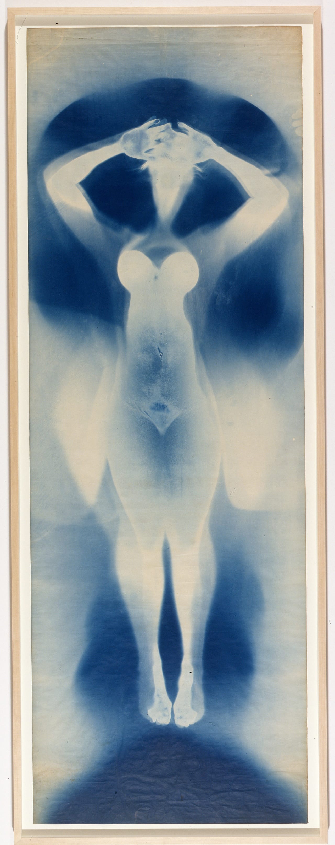 Robert Rauschenberg and Susan Weil, "Female Figure" (c. 1950), exposed blueprint paper, 105 x 36 in, Robert Rauschenberg Foundation (© Robert Rauschenberg Foundation / Licensed by VAGA, New York, NY)