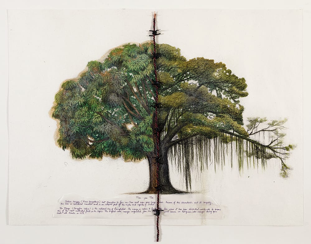 Reena Saini Kallat, "Hyphenated Lives (Man-yan Tree)" (2015), gouache, charcoal, ink, and electric wire on handmade paper
