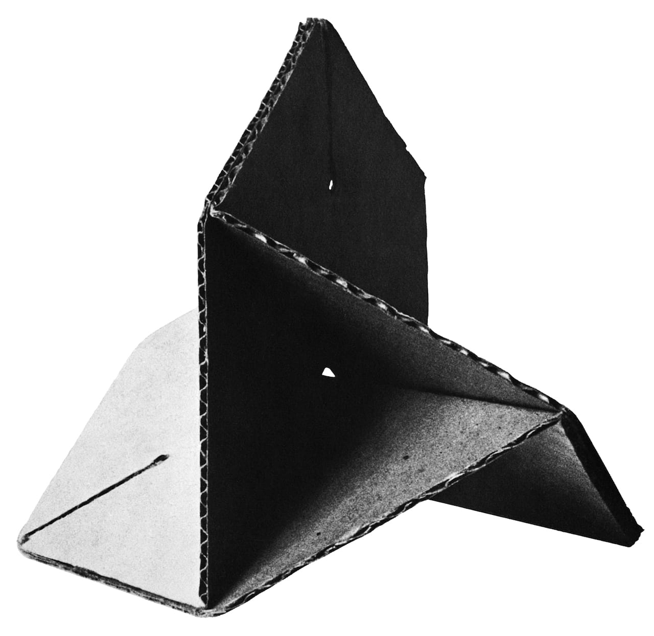 Boschin Image credit: Courtesy of Princeton Architectural Press