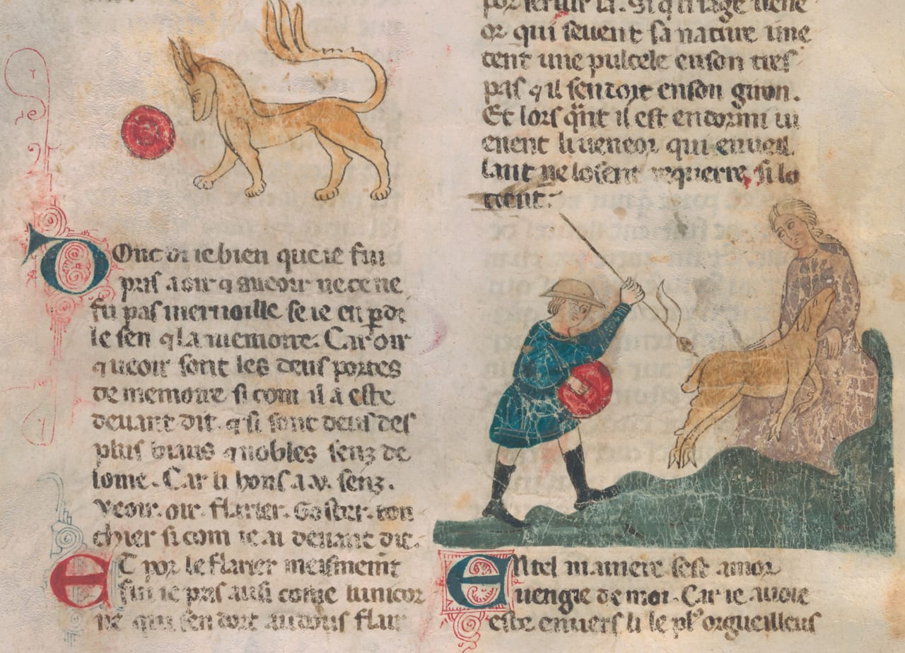 "Bestiaire d’Amour: Tiger and Virgin with Unicorn" (detail), Richard, de Fournival, 'Bestiaire d'amour' (1290, Northern Italy) (courtesy the Pierpont Morgan Library)