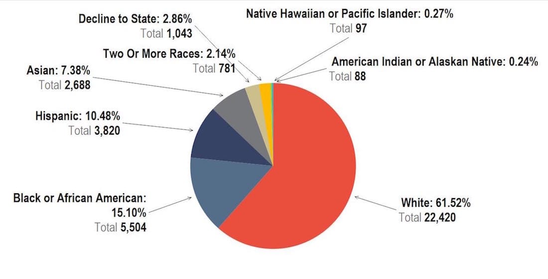 Race and ethnicity staff percentages (all images via Diversity in the New York City Department of Cultural Affairs Community, courtesy Department of Cultural Affairs)