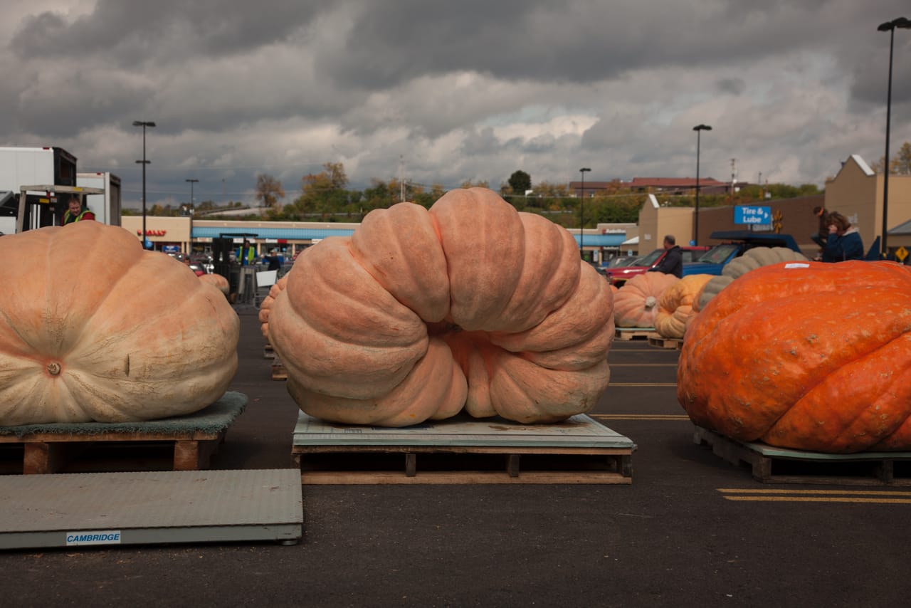 Giant Pumpkin Growers Association of Western Pennsylvania Weigh-In. Altoona, PA, 2014. Image courtesy the Center for PostNatural History