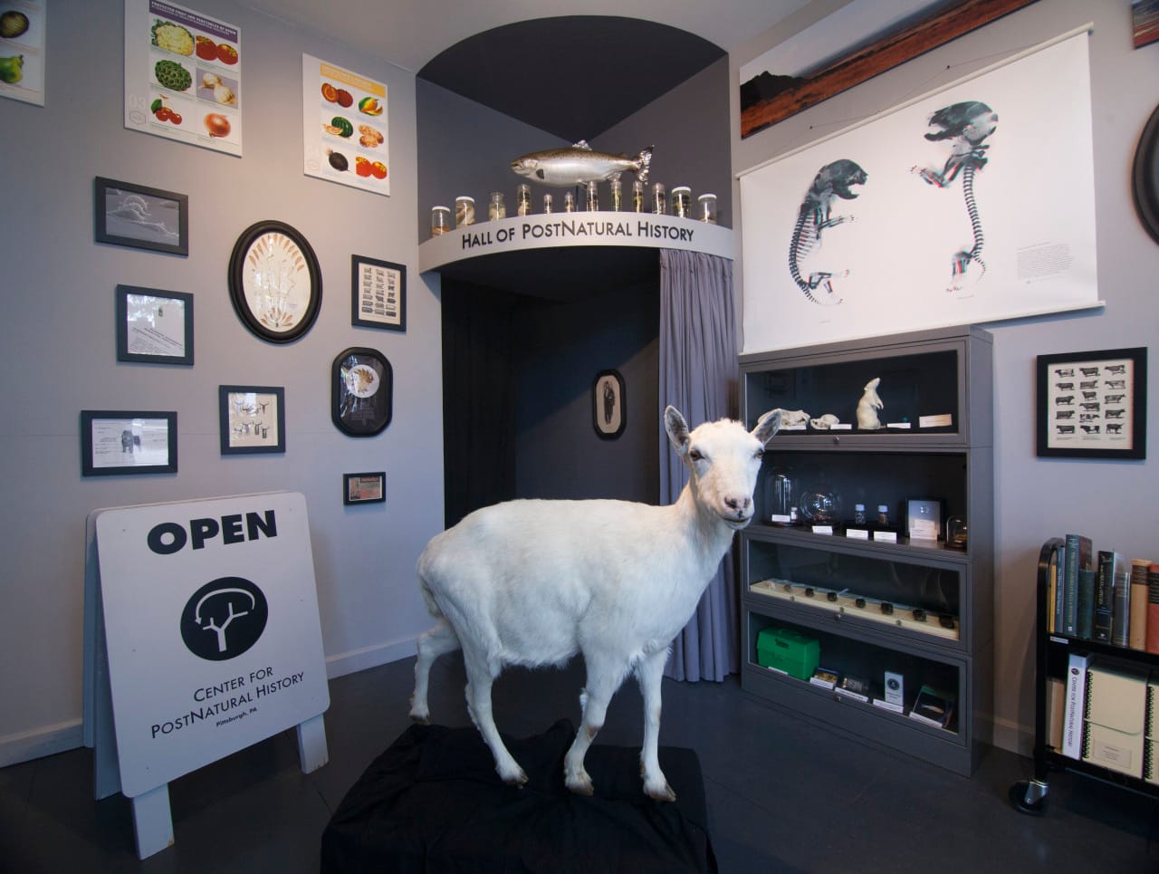 Image of the Center for PostNatural History, courtesy the center.
