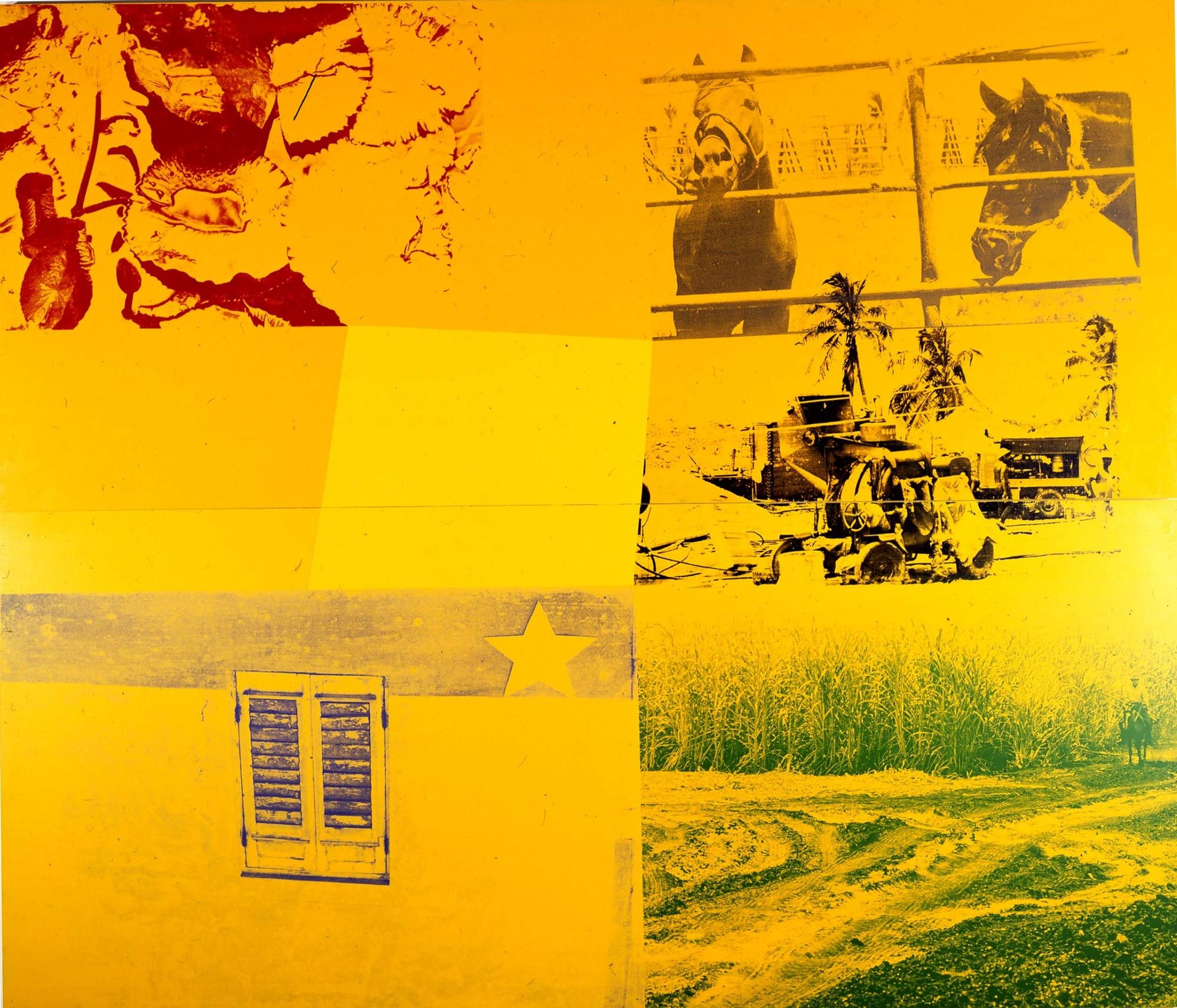 Robert Rauschenberg, "Yellow Ranch (Rancho Amarillo)/Roci Cuba" (1988). Enamel and acrylic on galvanized steel. (All images via Rauschenberg Foundation) 72 3/4 x 84 3/4 inches (184.8 x 215.3 cm) Robert Rauschenberg Foundation 