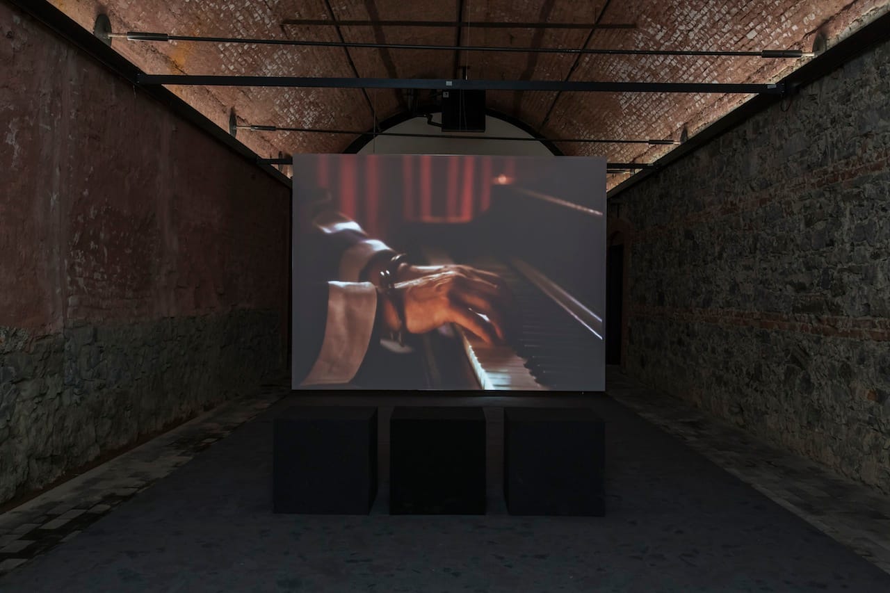 Rodney Graham, "A Reverie Interrupted by the Police" [Polisin Yarıda Kestiği Bir Düş] (2003)