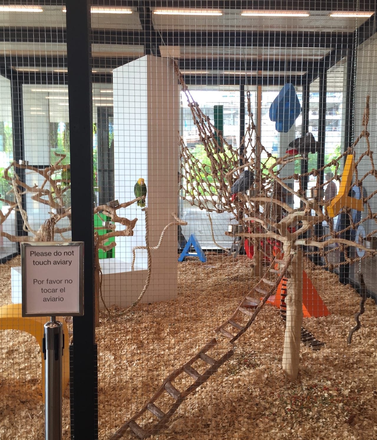 Installation view of Bik Van der Pol's 'Speechless' (2015) at the Pérez Art Museum Miami (photo by the author for Hyperallergic)