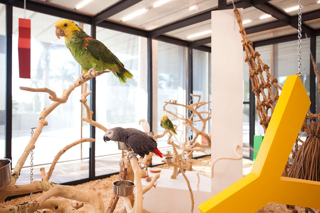 Bik Van der Pol, 'Speechless' (2015), installation view at the Pérez Art Museum Miami