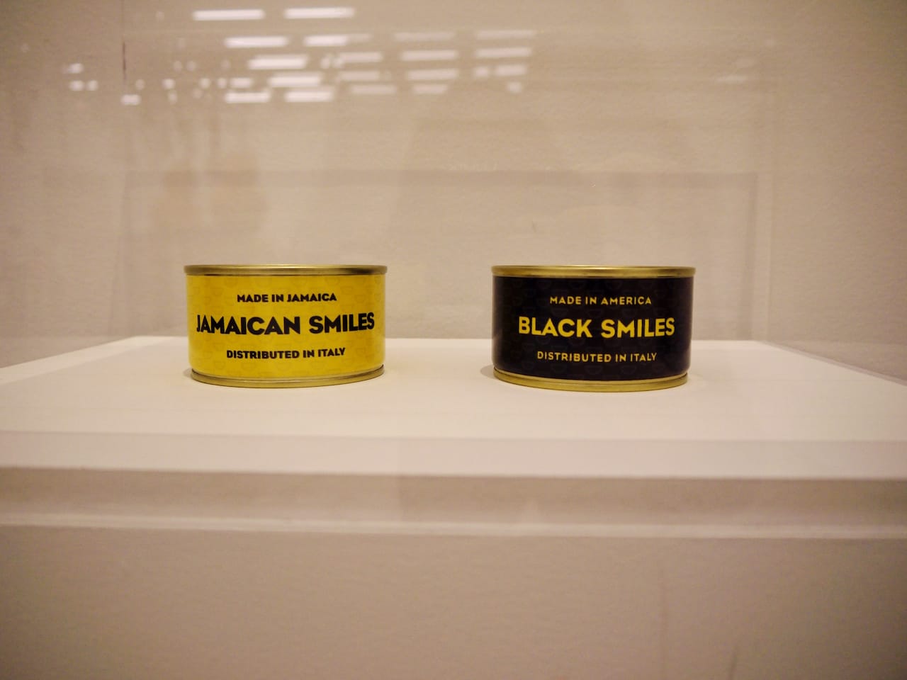 Canned Smiles (2013)
