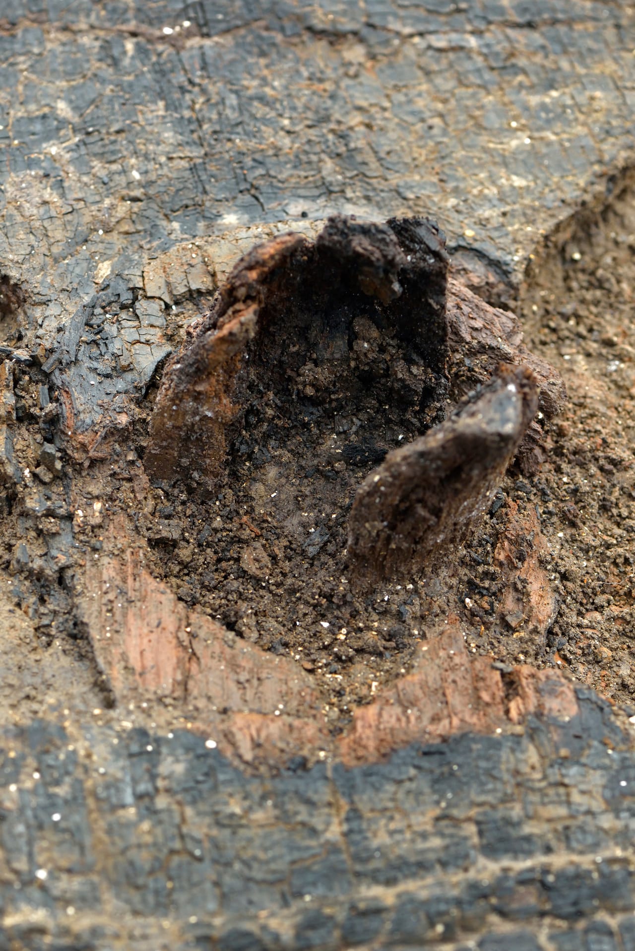 Close up of the wooden hub of the wheel. Copyright Cambridge Archaeological Unit, photo by Dave Webb