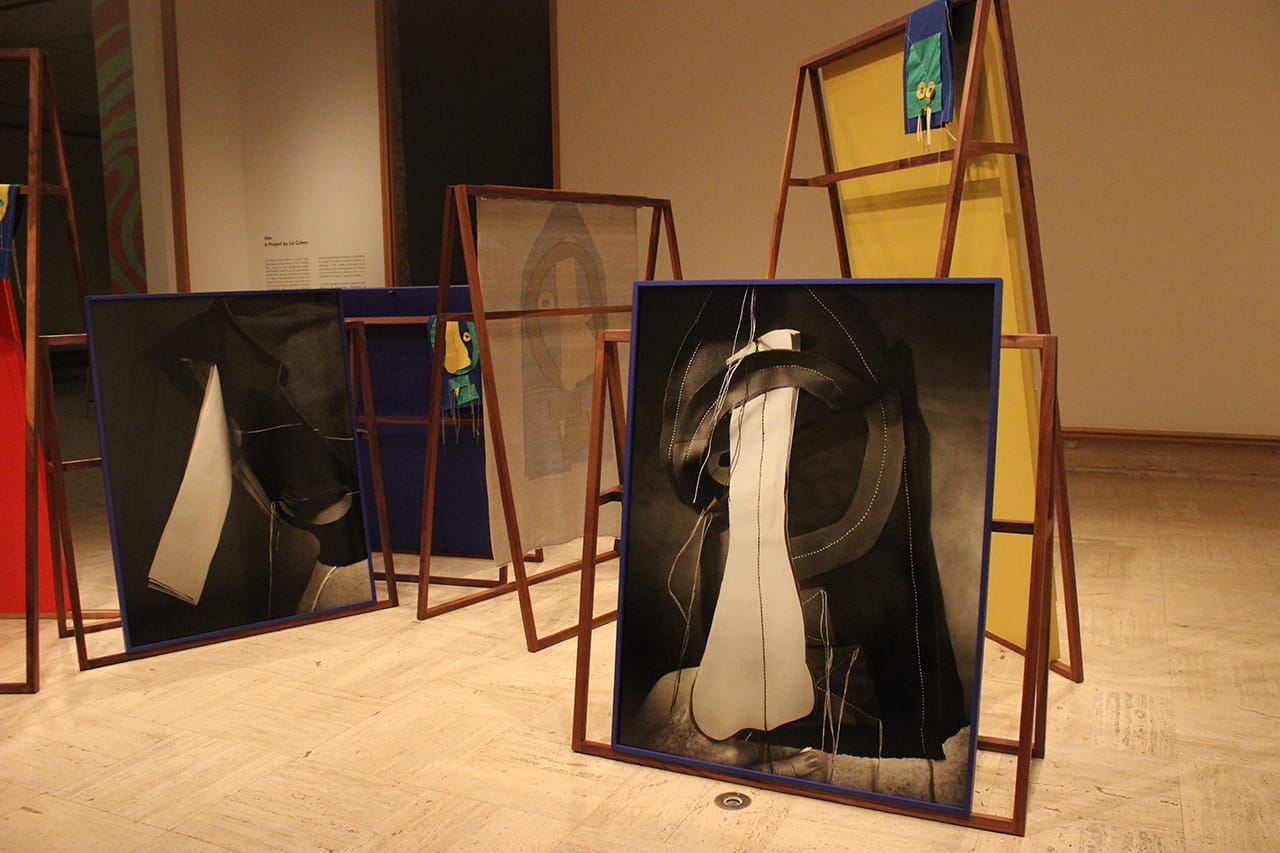 Liz Cohen, 'Him,' installation view (all photos by the author for Hyperallergic)