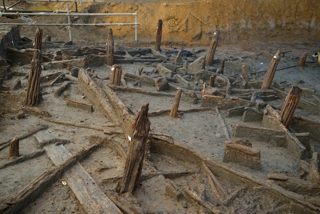 Bronze Age piles preserved within the river silts and collapsed structural timbers. Copyright Cambridge Archaeology Unit, photo by Dave Webb