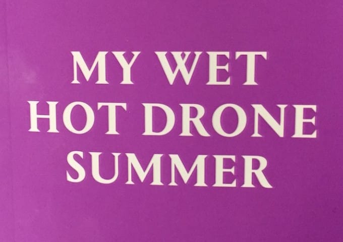 Cover of Lex Brown, 'My Wet Hot Drone Summer' (photo by the author for Hyperallergic)