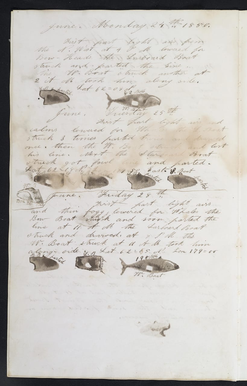 Detail of a page in a whaling logbook (courtesy Martha’s Vineyard Museum)