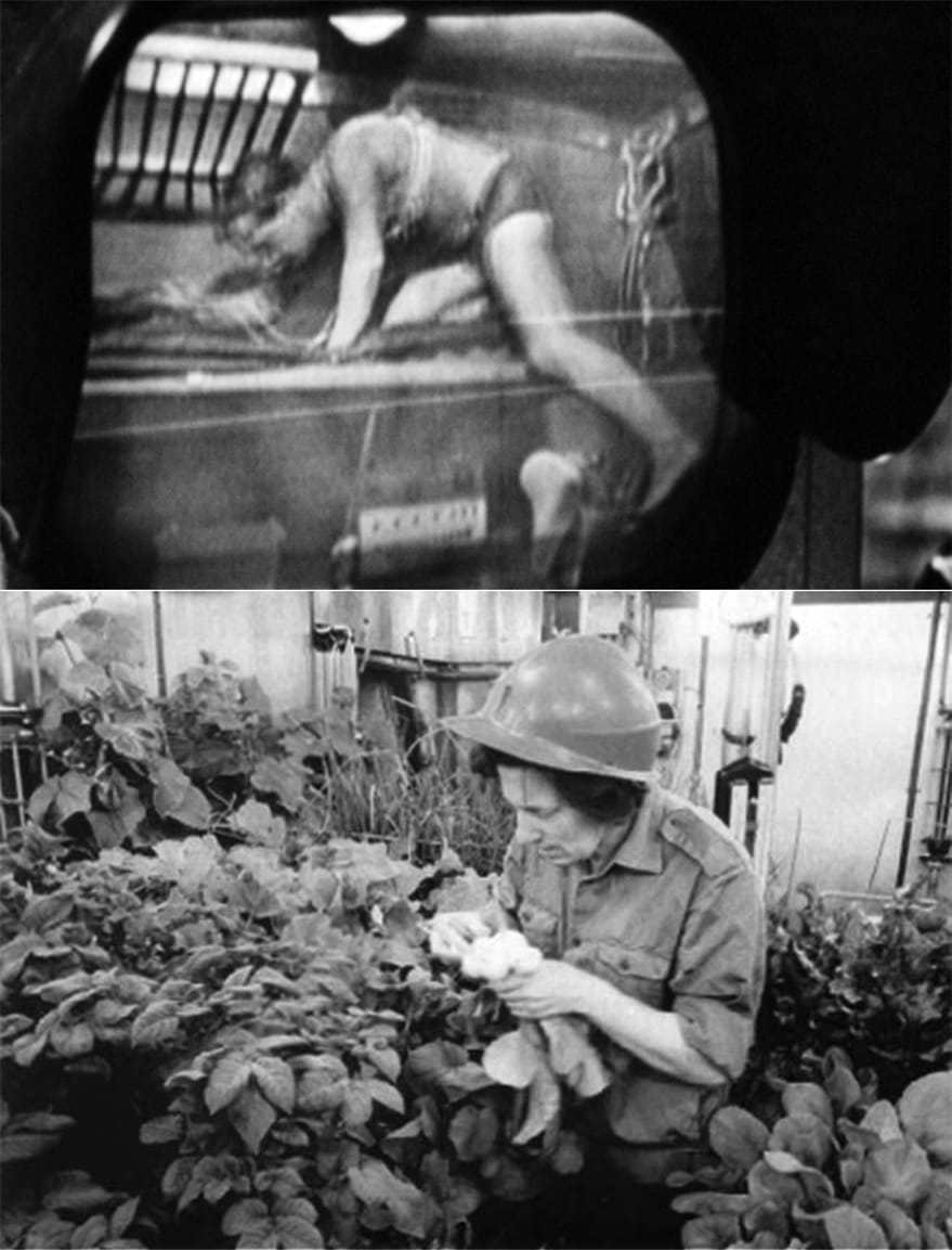 07 - Closed Worlds-2016-Lydia Kallipoliti-Storefront For Art And Architecture