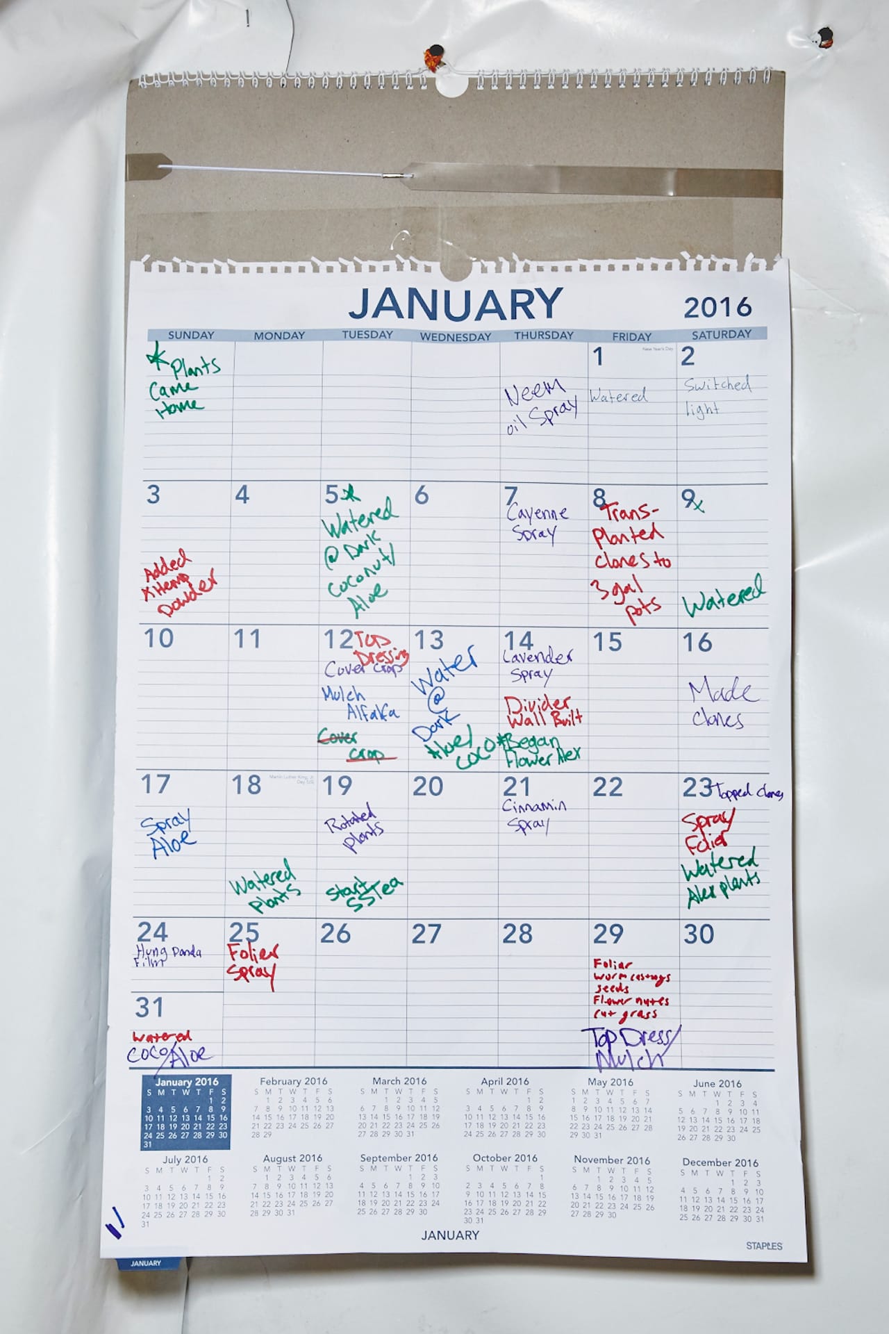 1066_SISTERS_OF_THE_VALLEY_A-1683