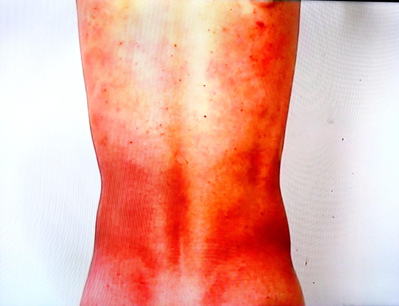 Xu Zhen, "Rainbow" (1997)