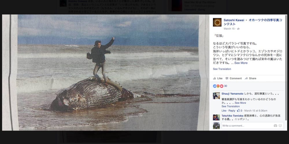 The winning photo of the Okhotsk Sea Ice Museum's photography competition (screenshot by the author via Facebook)