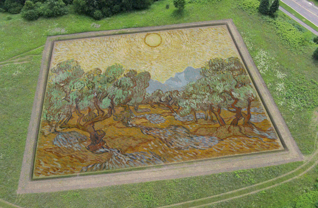 GIF comparing Vincent van Gogh’s “Olive Trees” to Stan Herd’s crop art rendition (image courtesy Minneapolis Institute of Arts)