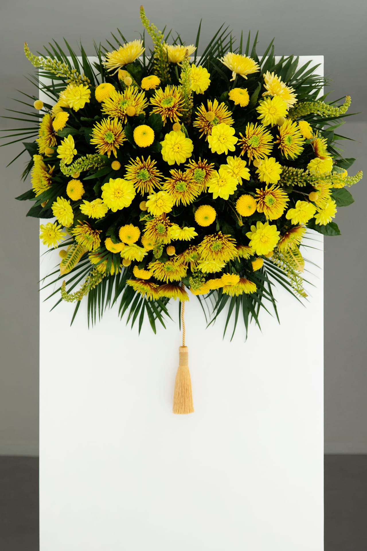 Kapwani Kiwanga, 'Flowers for Africa' (2012– ongoing), protocol written and signed by the artist, iconographic documents, unique artworks, dimensions variable (image courtesy the artist and Galerie Jérôme Poggi, Paris)