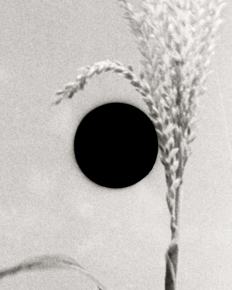 Image from Bill McDowell's 'Ground' (courtesy Daylight Books)