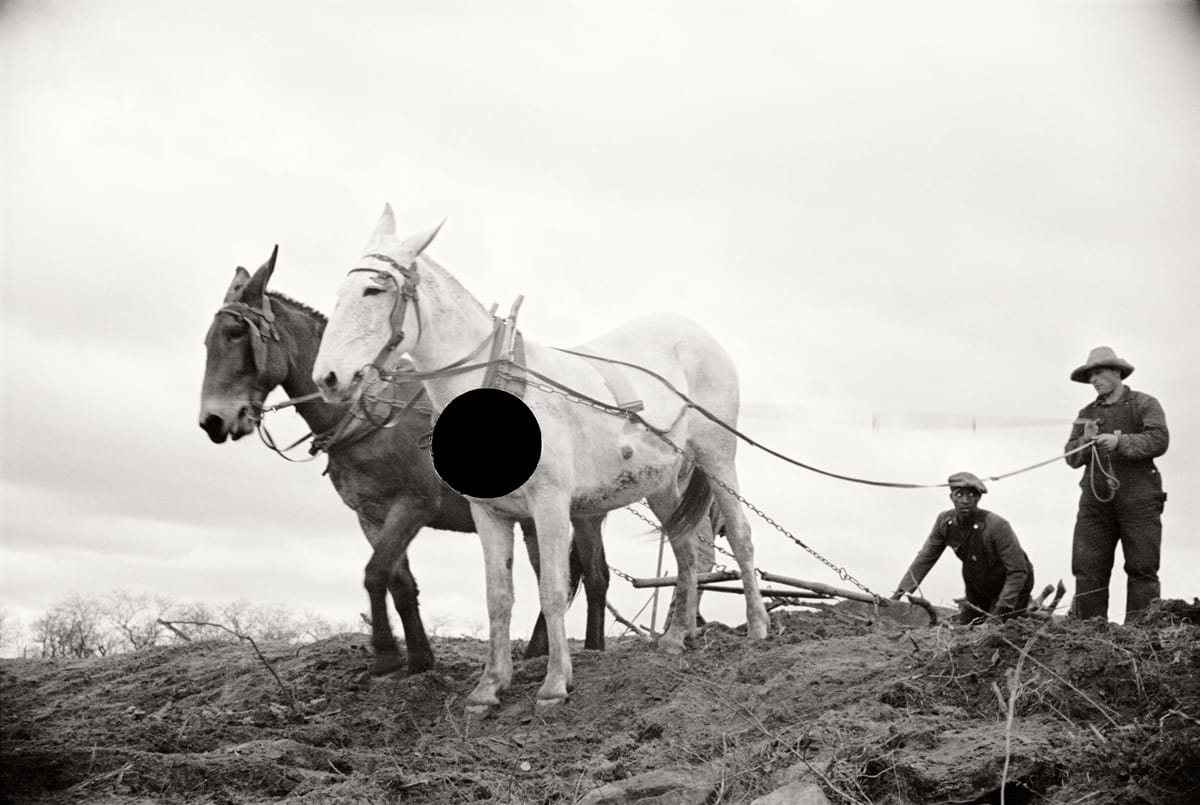 Image from Bill McDowell's 'Ground' (courtesy Daylight Books)